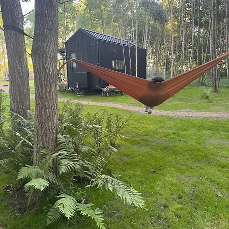 Chilliapartamenty - Maszroom 2 Holiday home Grzybowo (West Pomeranian)